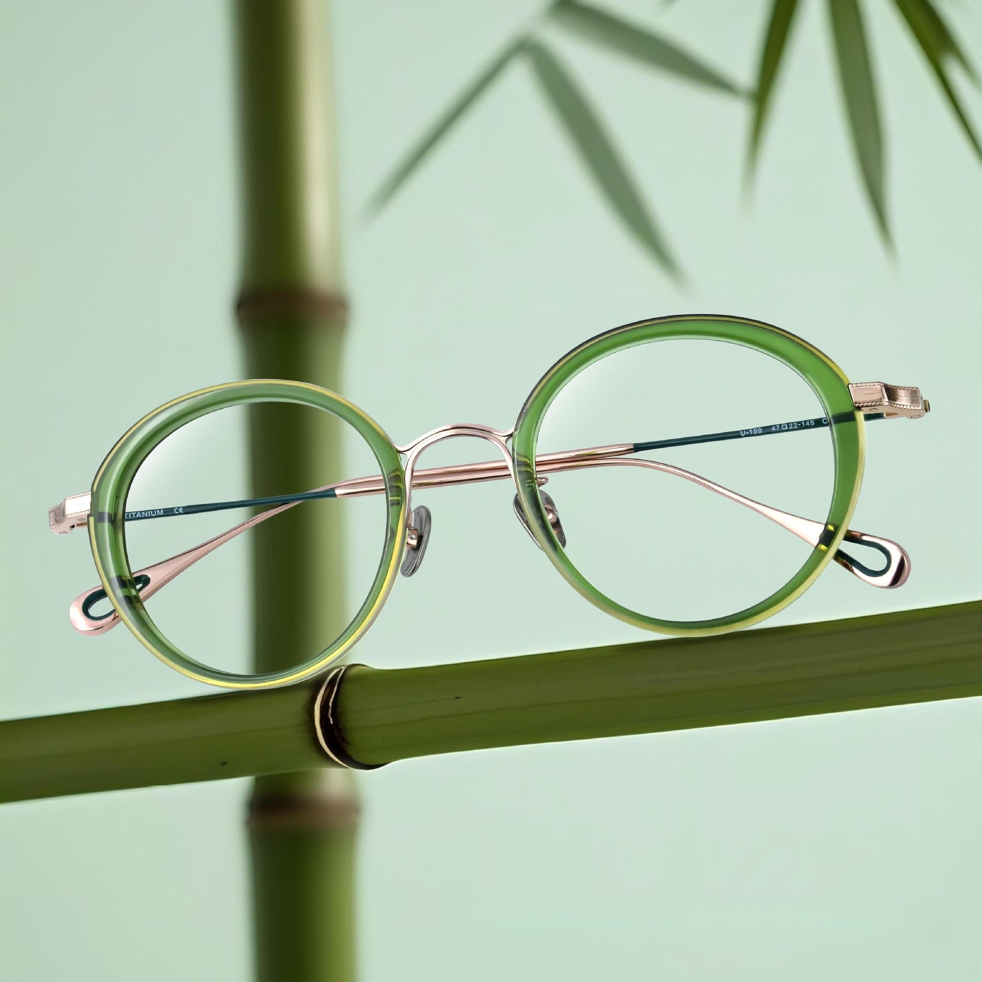 Iryna Retro Round Titanium Glasses Frame – Jollynova