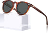 CARFIA Retro Acetate Polarized Sunglasses for Men UV Protection, Vintage Round Frame Eyewear with Gold Filigree CA5506L