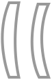 Color Tint 1.61 Mid-Index