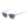 Jollynova Women Classic Cat Eye Sunglasses