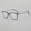 Danyelle Ultra light Titanium Glasses Frame