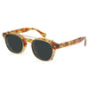 Symon Acetate Glasses Frame With sunglasses Clips