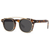 Trace Acetate Glasses Frame With sunglasses Clips