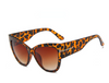New Gradient Points Cat Eye Tom High Fashion Woman Sunglasses