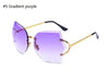 Cat Eye Eyeglasses Women Sunglasses Rimless Clear Eyewear Frame Purple Gradient Elegant Optics Rimless Lady Oversized lunette