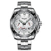 WL014 Automatic Mechanical Stainless Steel Waterproof Luminous Watch