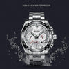WL014 Automatic Mechanical Stainless Steel Waterproof Luminous Watch